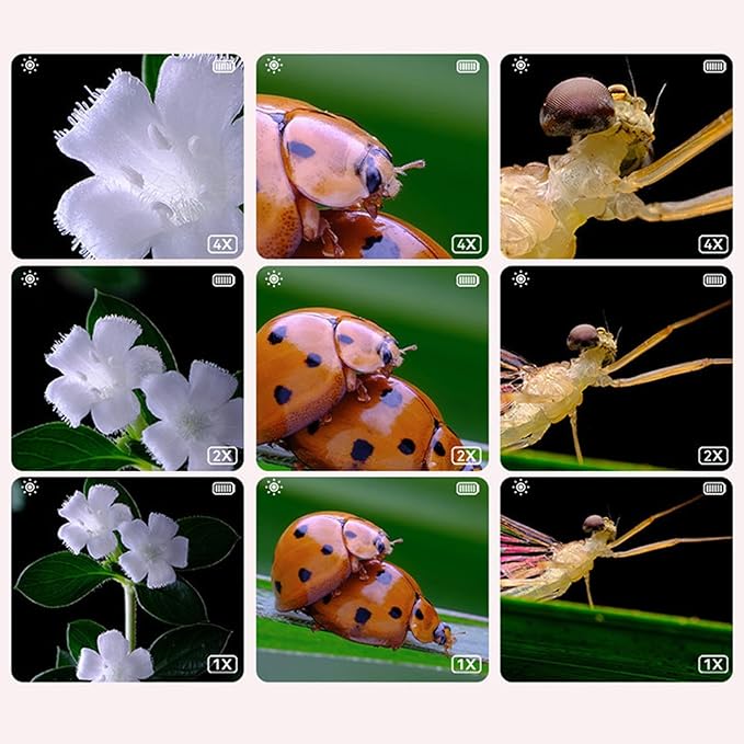 Kids Digital Microscope with LED Light Adjustable Brightness Camera Educational Science Toy