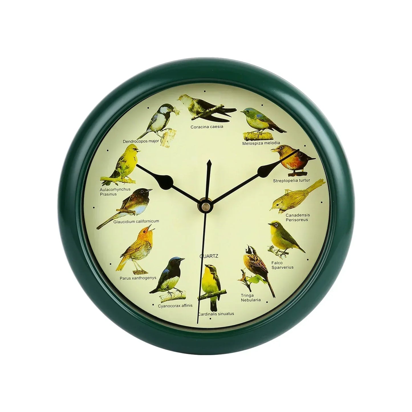 10 Inch Bird Sound Wall Clock with Hourly Birdsong Silent Movement Home Decor