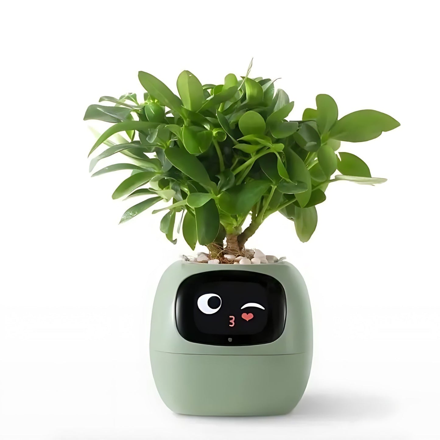 Automatic Smart Plant Pot – Self-Watering Smart Flower Pot with App Control