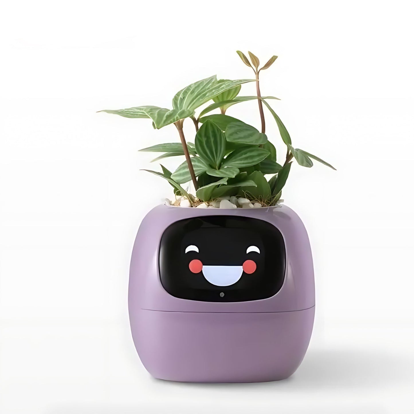 Automatic Smart Plant Pot – Self-Watering Smart Flower Pot with App Control