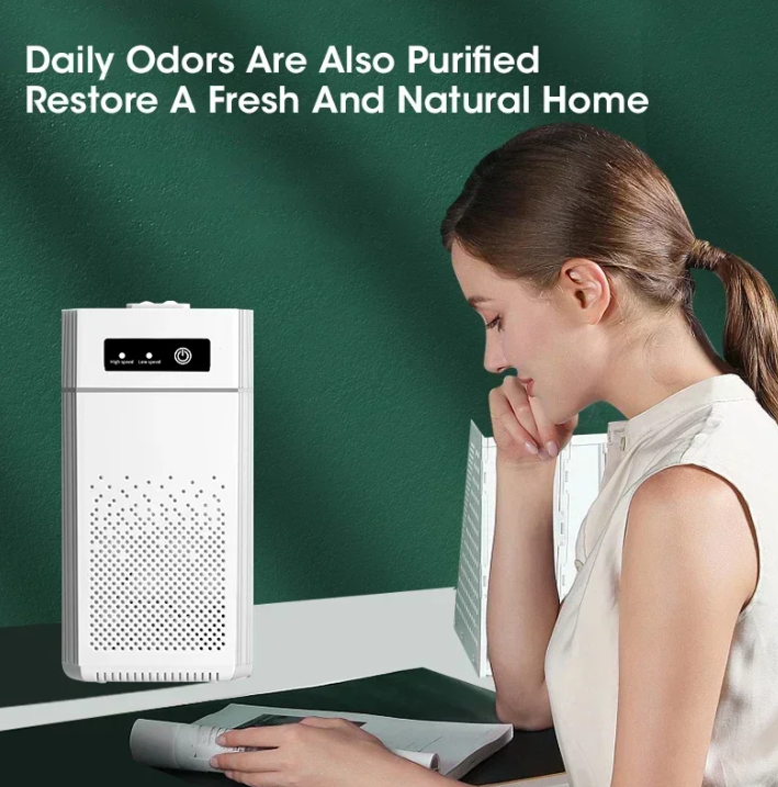 Compact HEPA Air Purifier Home Room Desktop Filtration System