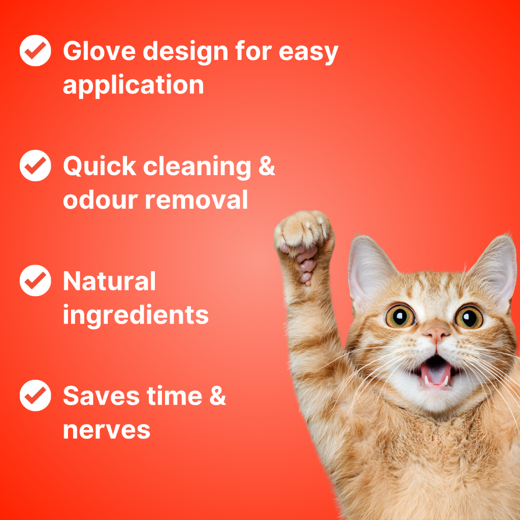 Disposable Pet Grooming Gloves for Cats and Dogs