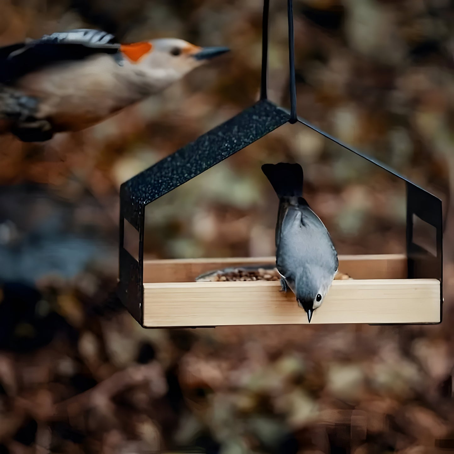 Elegant Hanging Bird House with Built In Feeder Decorative Outdoor Garden Birdhouse