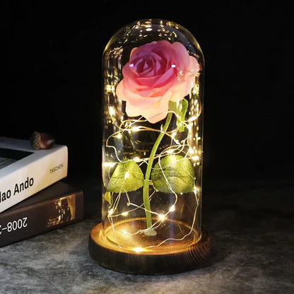 Eternal Rose Flower Under Glass Dome Romantic Love Gift Decor