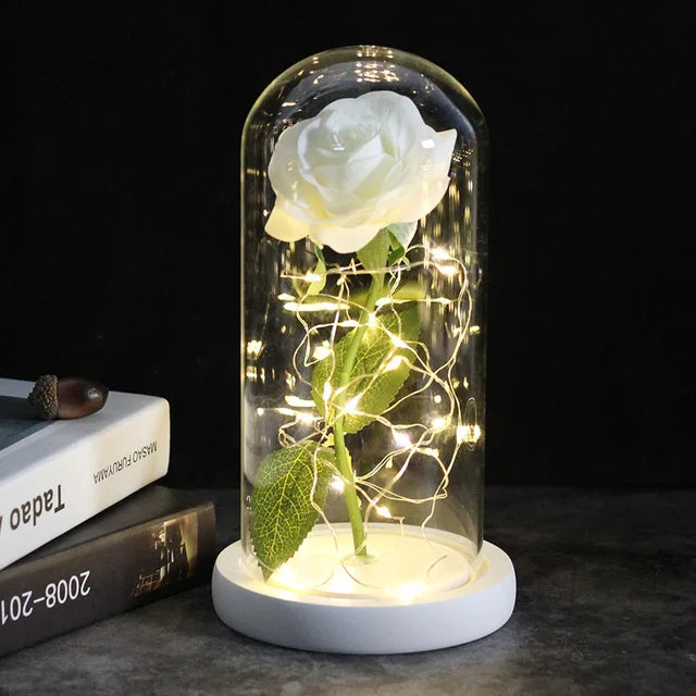 Eternal Rose Flower Under Glass Dome Romantic Love Gift Decor