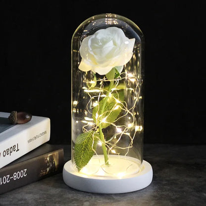 Eternal Rose Flower Under Glass Dome Romantic Love Gift Decor