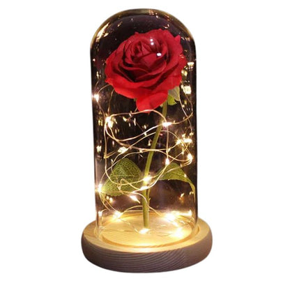 Eternal Rose Flower Under Glass Dome Romantic Love Gift Decor
