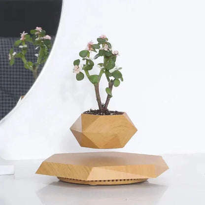 Floating Magnetic Plant Pot 360 Degree Levitating Planter for Indoor Decor