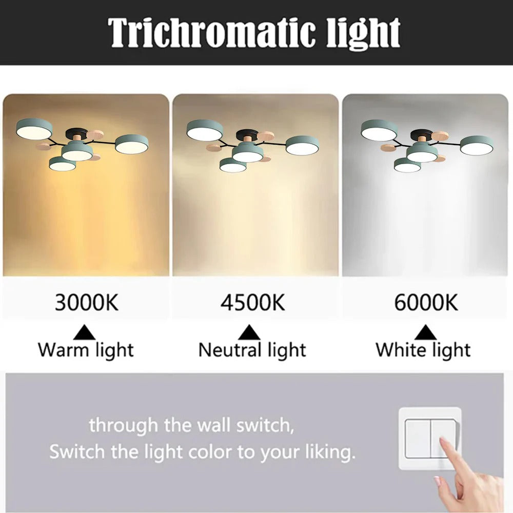 Flush Mount LED Ceiling Light Modern Halo Design Multiple Light Options