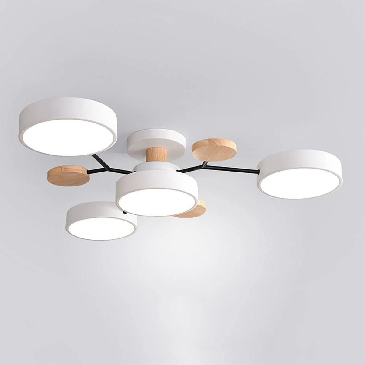 Flush Mount LED Ceiling Light Modern Halo Design Multiple Light Options