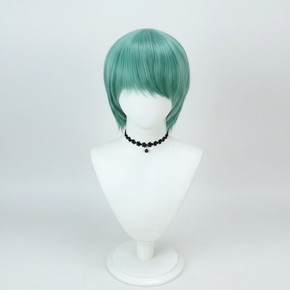 Halloween Costume Cosplay Wig Long Short Layered Hair Dress Up Accessory