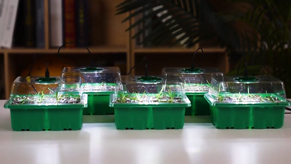 Indoor Herb Garden Kit with LED Grow Light Compact Smart Indoor Greenhouse