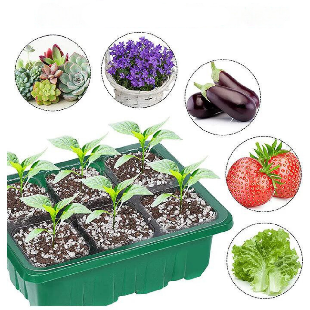 Indoor Herb Garden Kit with LED Grow Light Compact Smart Indoor Greenhouse