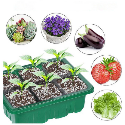 Indoor Herb Garden Kit with LED Grow Light Compact Smart Indoor Greenhouse