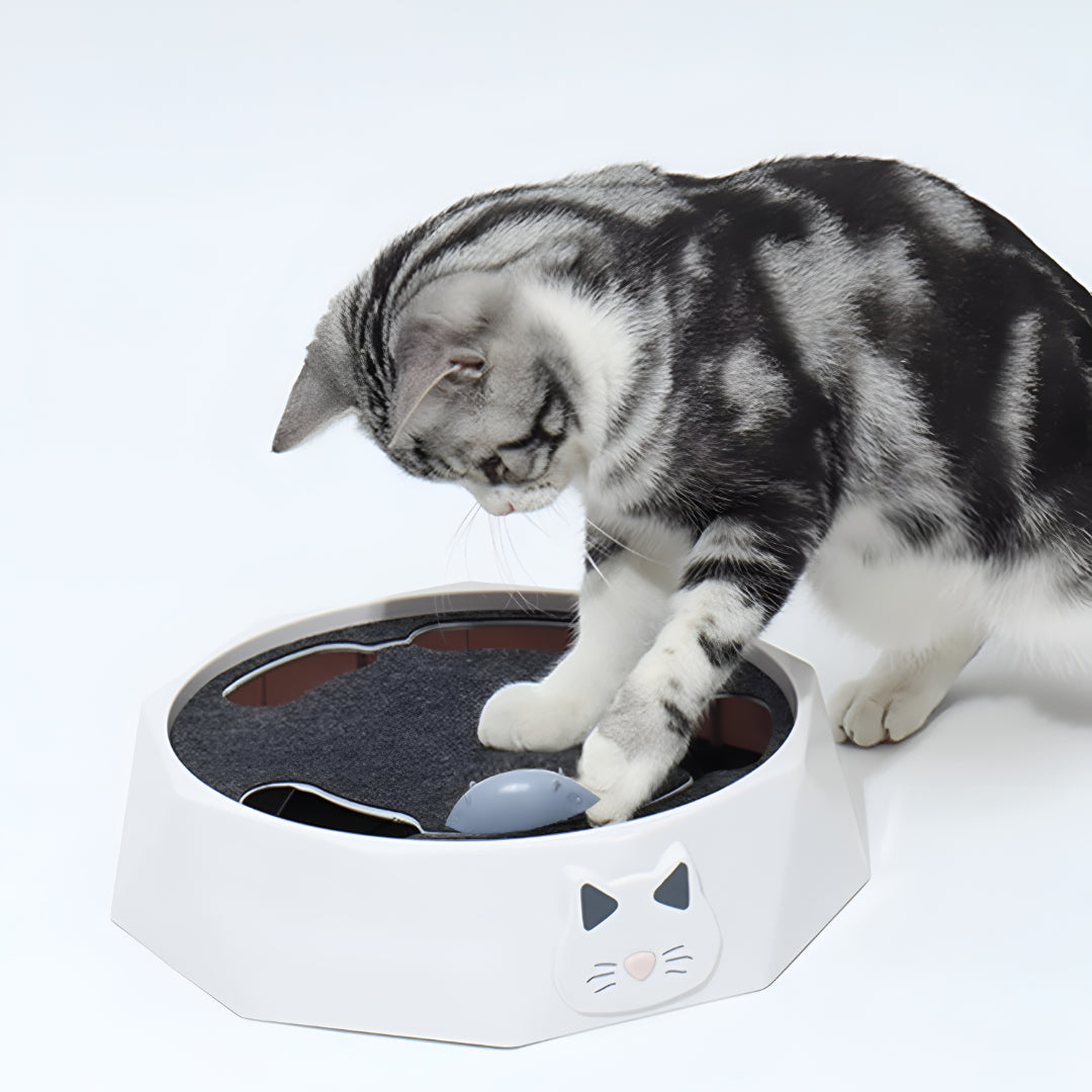 Interactive Cat Toy Scratch Pad Moving Mouse Activity Center