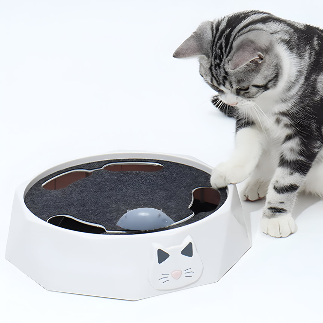 Interactive Cat Toy Scratch Pad Moving Mouse Activity Center