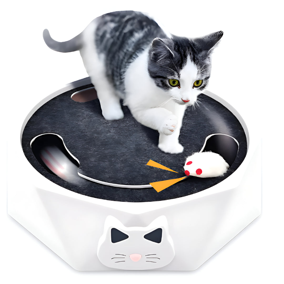 Interactive Cat Toy Scratch Pad Moving Mouse Activity Center