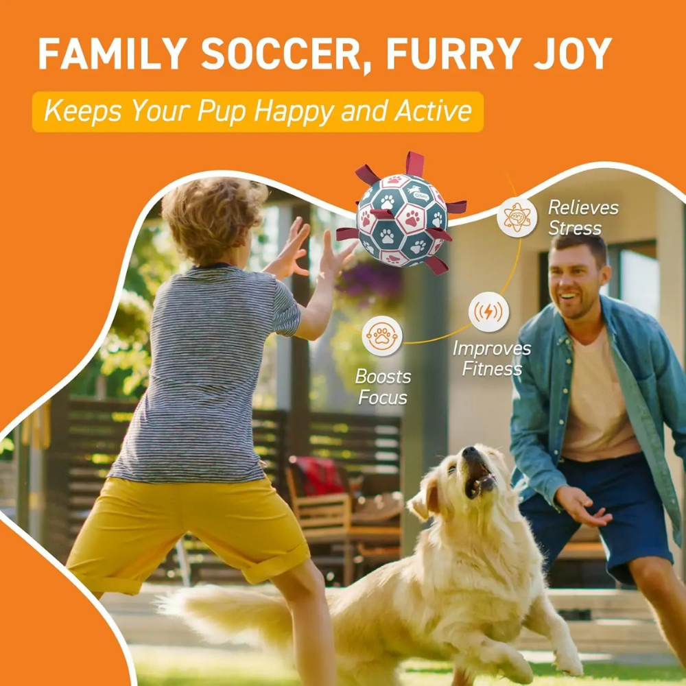 Interactive Dog Soccer Ball with Rope Handles for Fetch and Tug