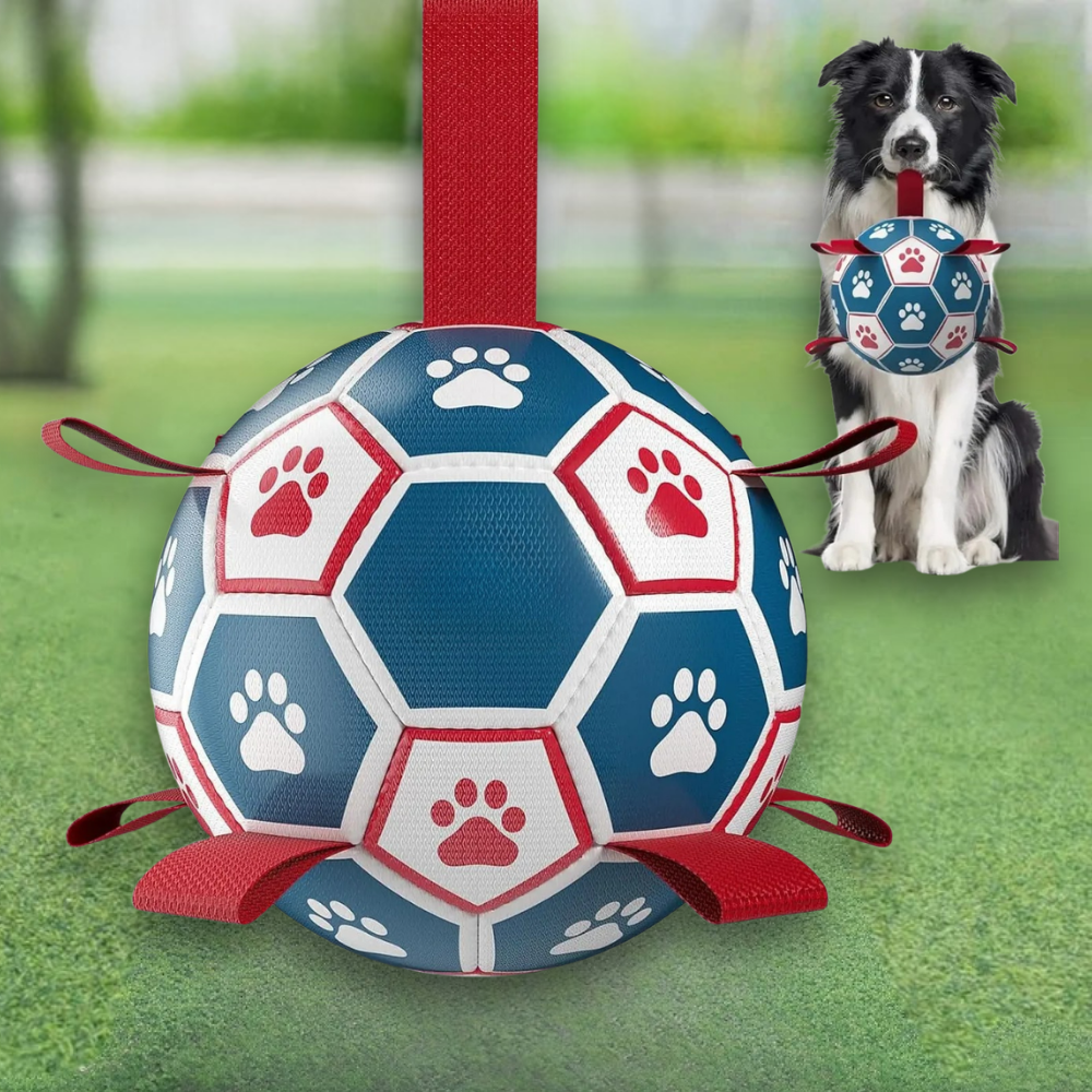 Interactive Dog Soccer Ball with Rope Handles for Fetch and Tug