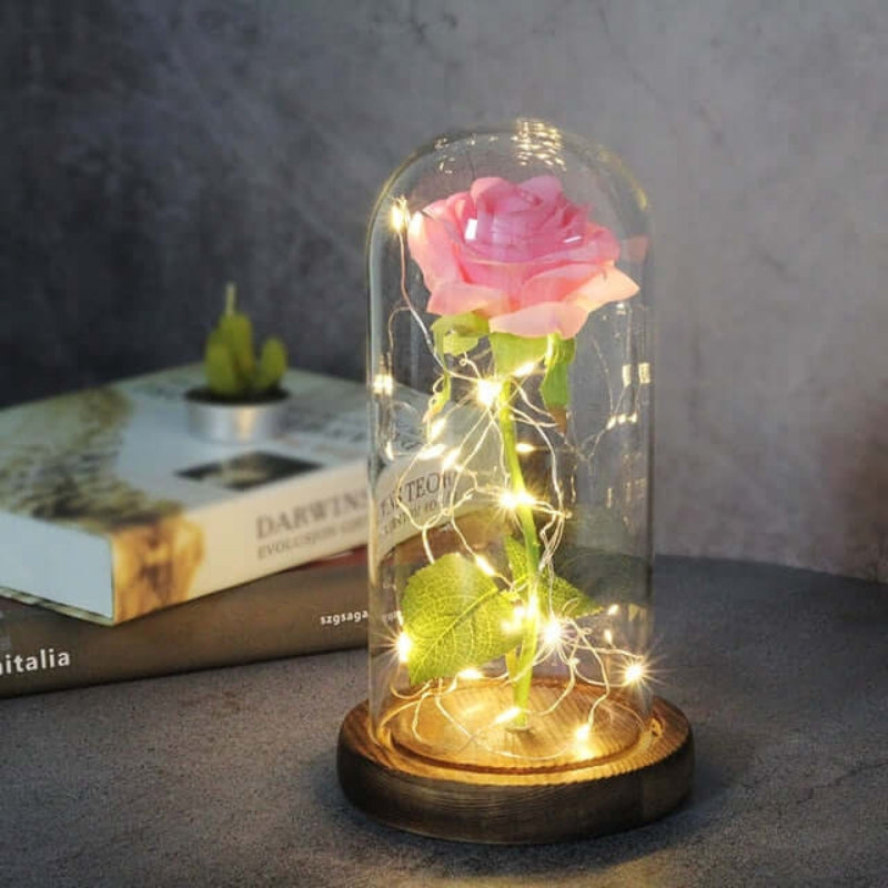 LED Rose Table Lamp Glass Dome Dual Power Decorative Light