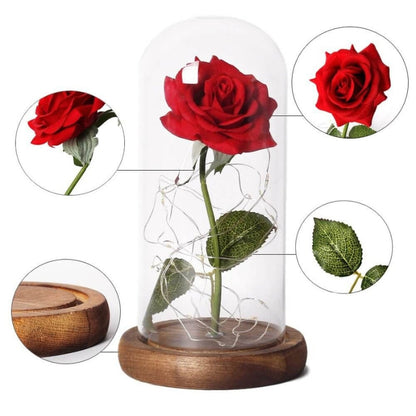 LED Rose Table Lamp Glass Dome Dual Power Decorative Light