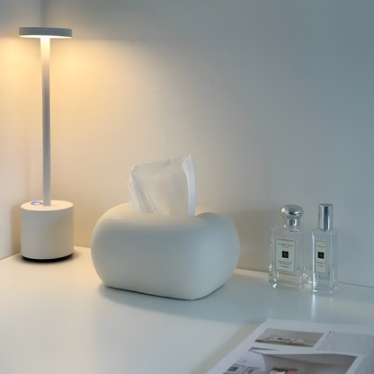 Minimalist Desk Tissue Holder Decorative Modern Tissue Box Cover