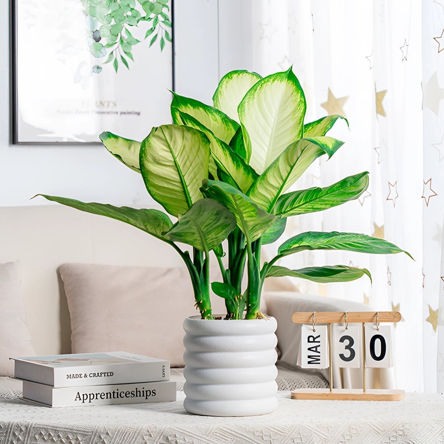 Modern Indoor Plant Pot Removable Flower Pot Planter for Herbs Flowers Small Plants Home Office Decor
