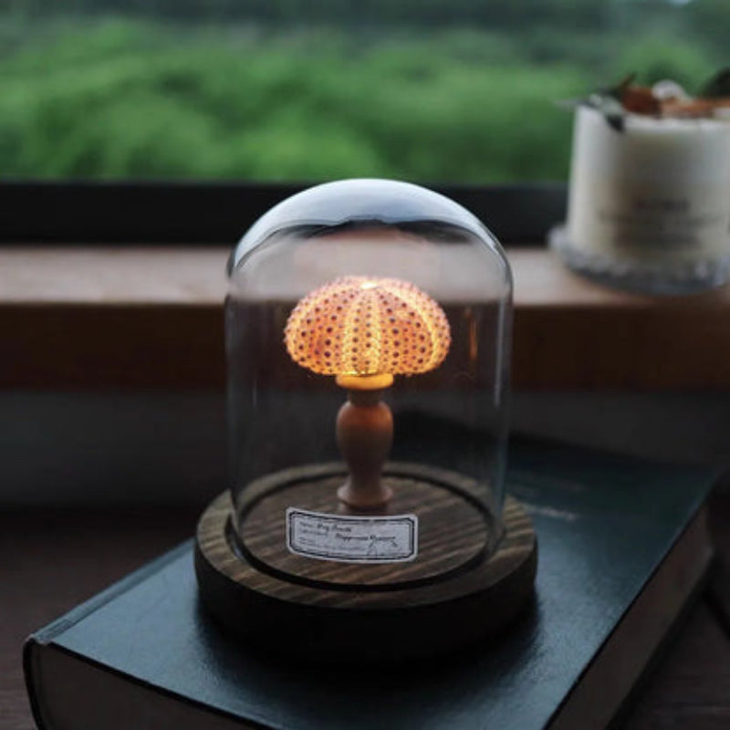 Ocean Inspired Mushroom Design Decorative LED Glass Dome Mini Lamp Table Light