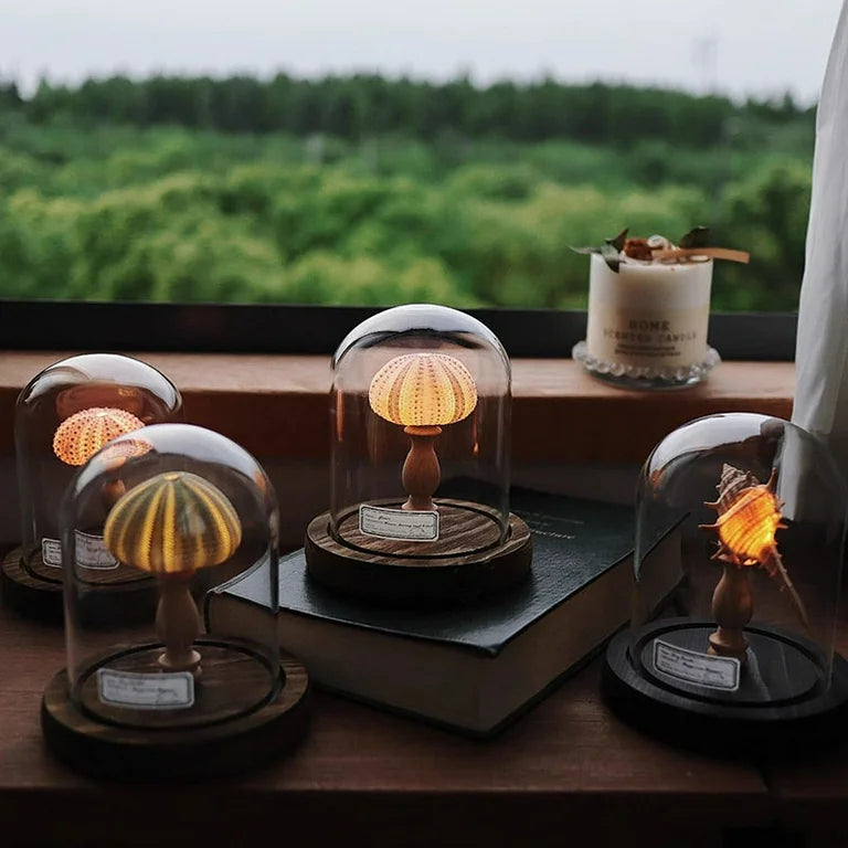 Ocean Inspired Mushroom Design Decorative LED Glass Dome Mini Lamp Table Light