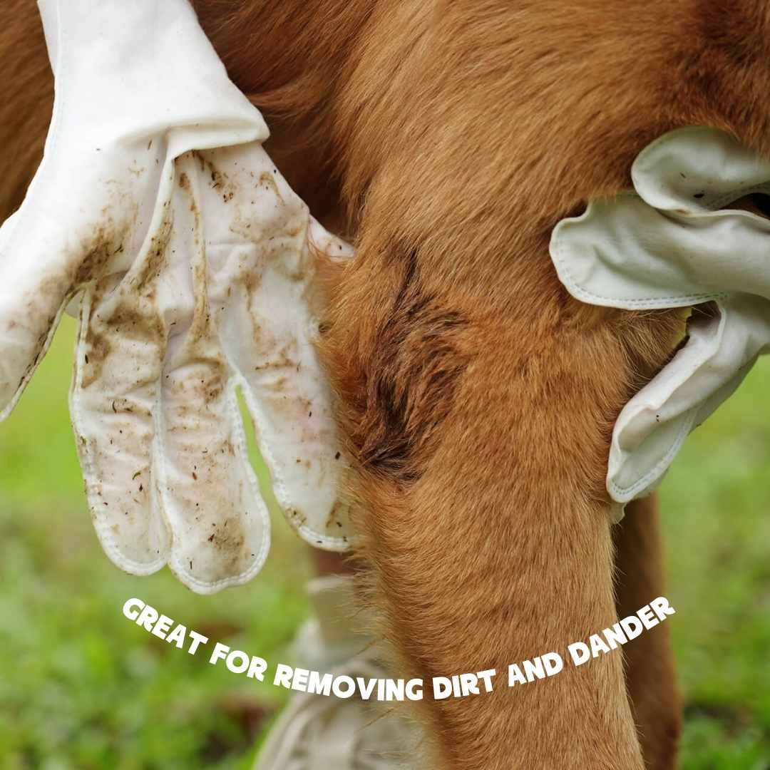 Pet Cleaning Gloves Quick Wipe Care Reusable Hygiene Grooming