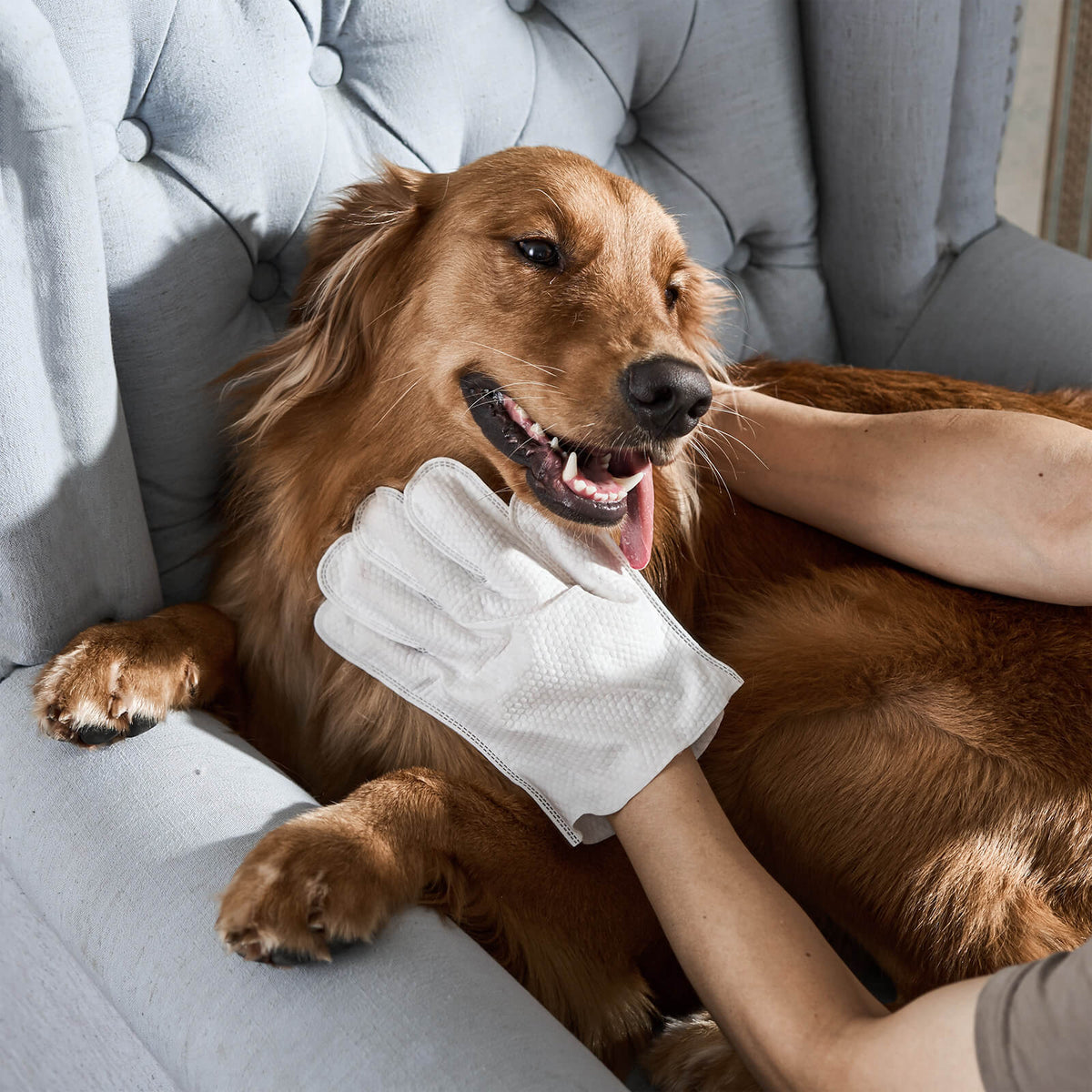 Pet Cleaning Gloves Quick Wipe Care Reusable Hygiene Grooming