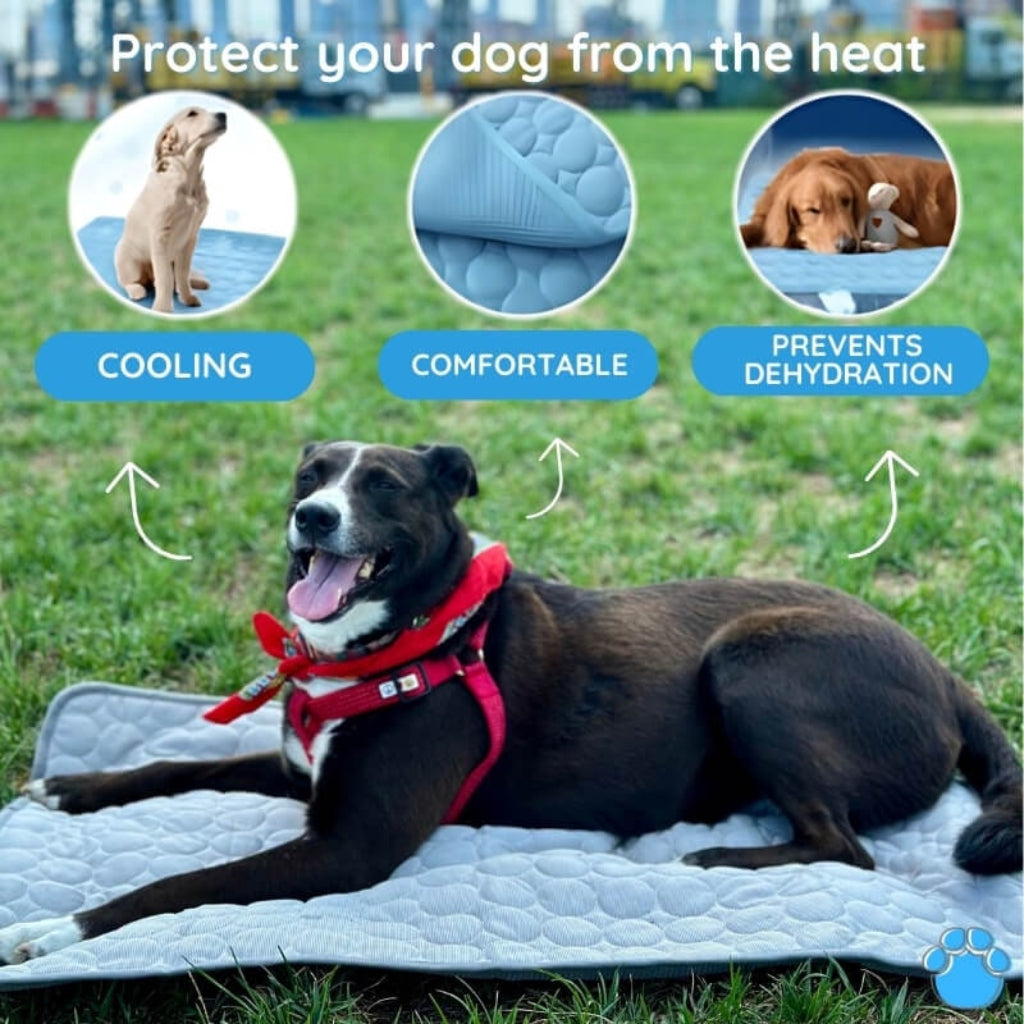 Portable Self-Cooling Pet Mat for Dogs and Cats
