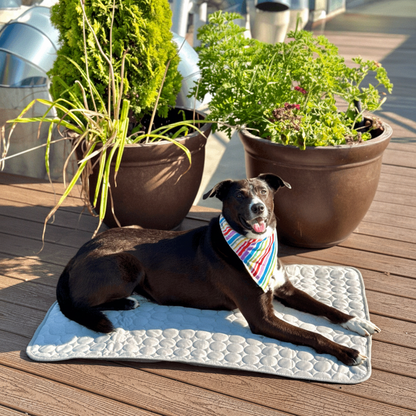 Portable Self-Cooling Pet Mat for Dogs and Cats