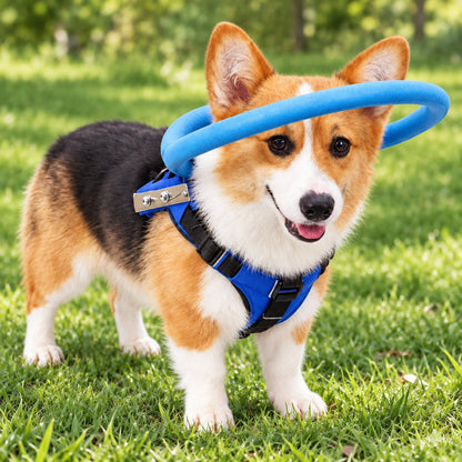 Protective Bumper Collar Harness Mobility Aid for Blind Dogs