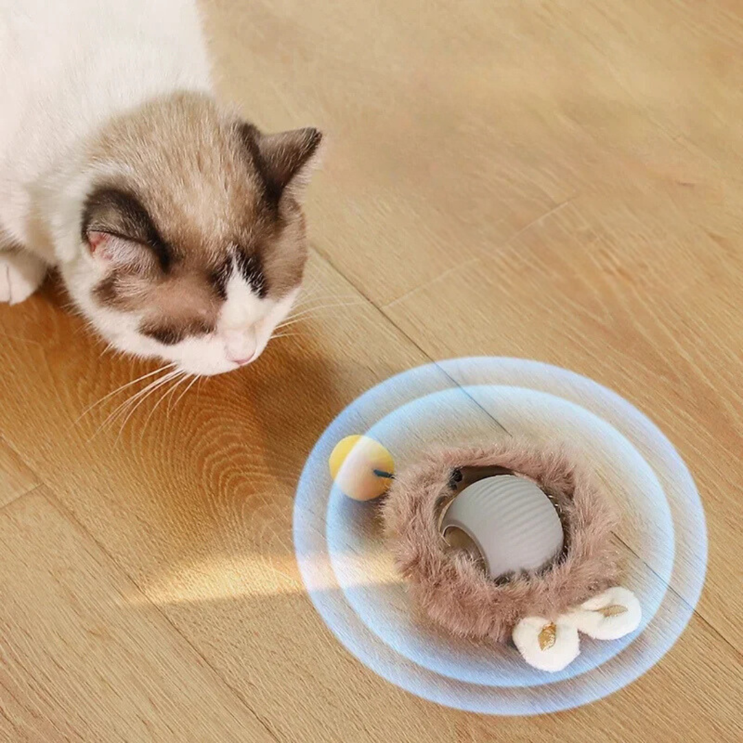Rechargeable Cat Play Toy Rolling Motion Interactive Chasing Activity
