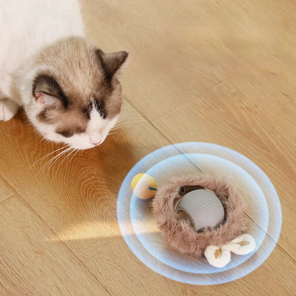 Rechargeable Cat Play Toy Rolling Motion Interactive Chasing Activity