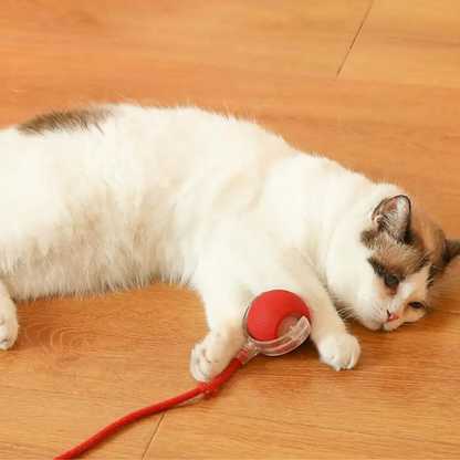 Rechargeable Cat Play Toy Rolling Motion Interactive Chasing Activity