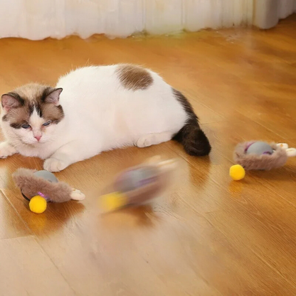 Rechargeable Cat Play Toy Rolling Motion Interactive Chasing Activity