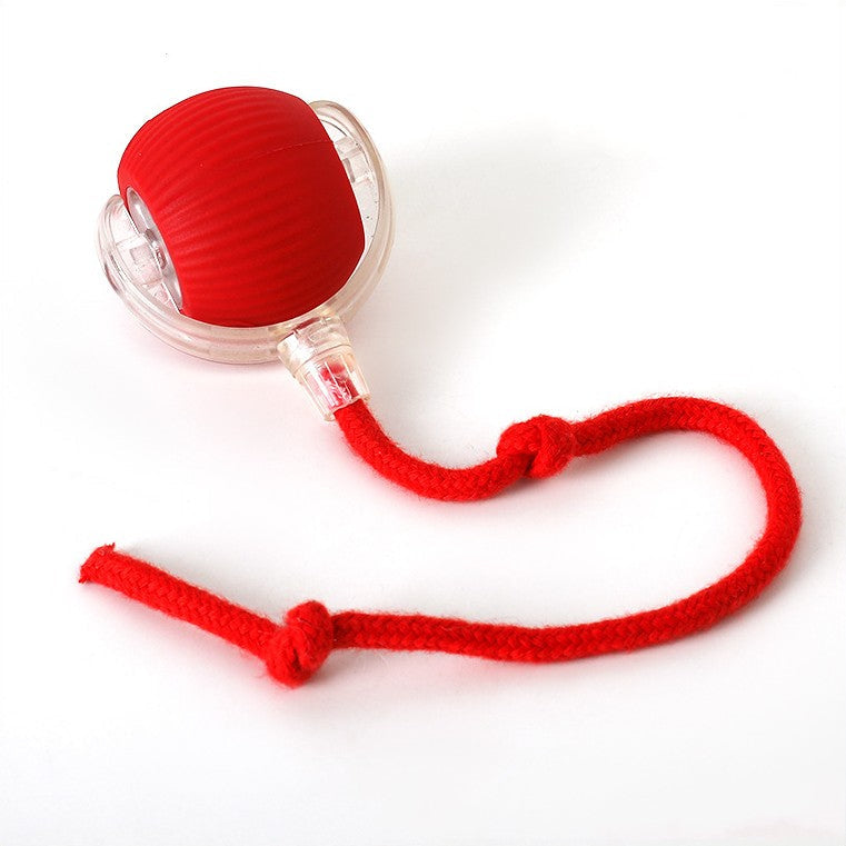 Rechargeable Cat Play Toy Rolling Motion Interactive Chasing Activity