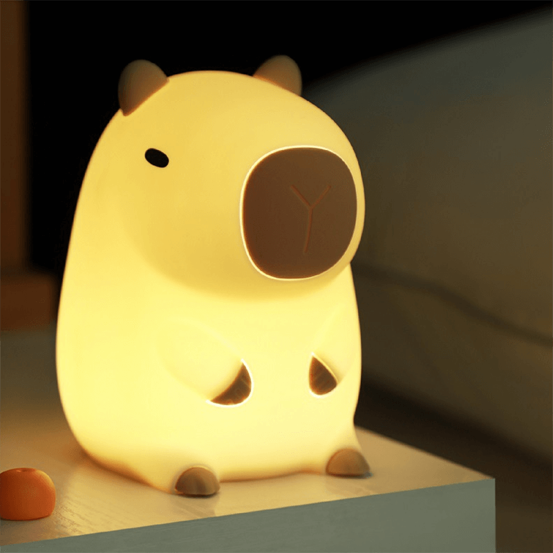 Rechargeable Dimmable LED Night Light with Timer Soft Bedside Lamp