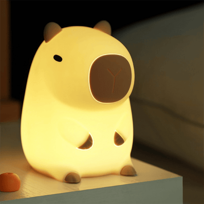 Rechargeable Dimmable LED Night Light with Timer Soft Bedside Lamp