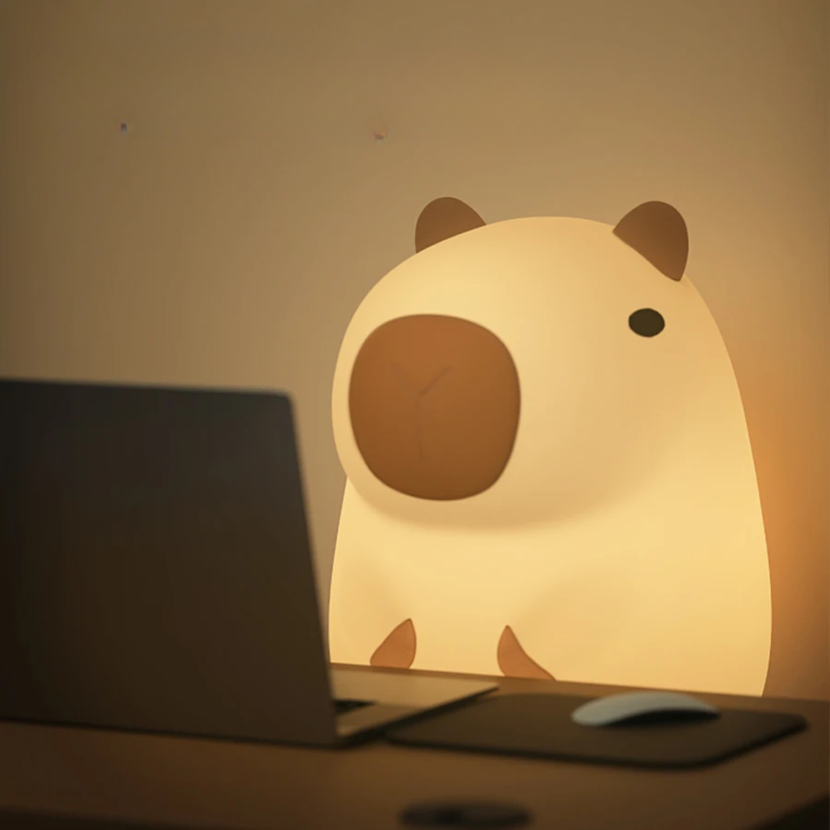 Rechargeable Dimmable LED Night Light with Timer Soft Bedside Lamp