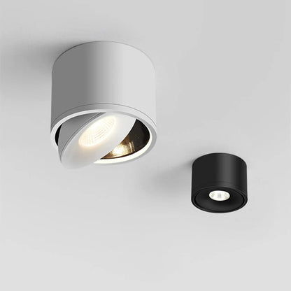Rotatable Ceiling Spotlight Adjustable Directional Modern Surface Mounted Light