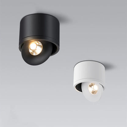 Rotatable Ceiling Spotlight Adjustable Directional Modern Surface Mounted Light