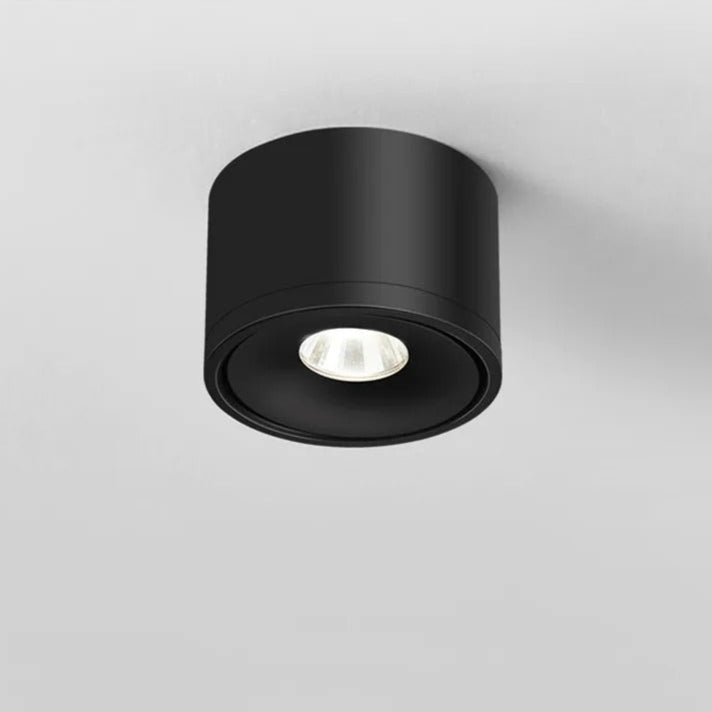 Rotatable Ceiling Spotlight Adjustable Directional Modern Surface Mounted Light