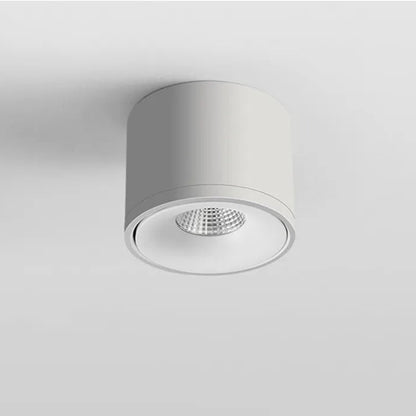 Rotatable Ceiling Spotlight Adjustable Directional Modern Surface Mounted Light