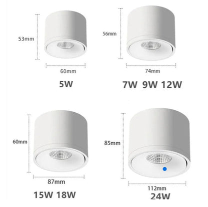 Rotatable Ceiling Spotlight Adjustable Directional Modern Surface Mounted Light