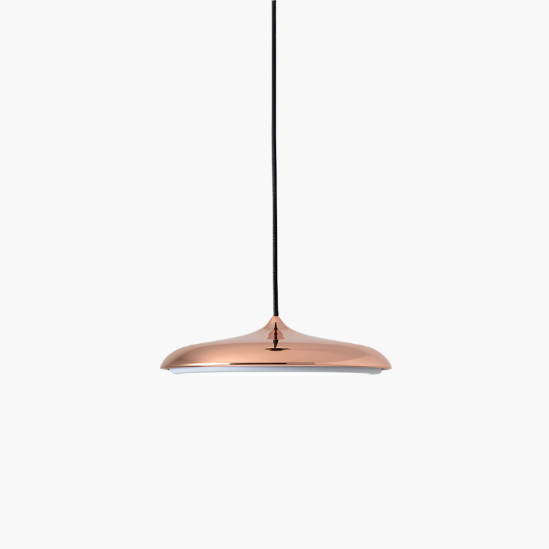 Scandinavian LED Pendant Light Modern Indoor Ceiling Hanging Fixture