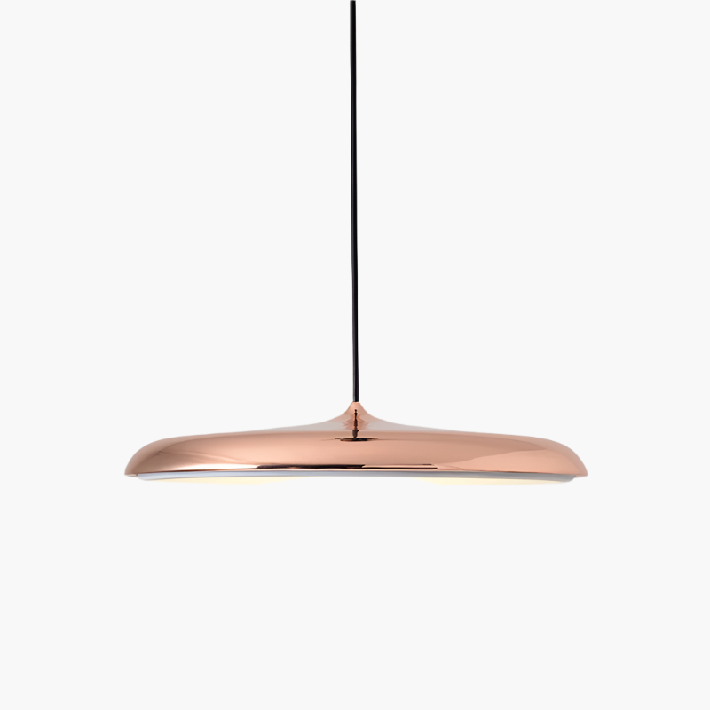Scandinavian LED Pendant Light Modern Indoor Ceiling Hanging Fixture