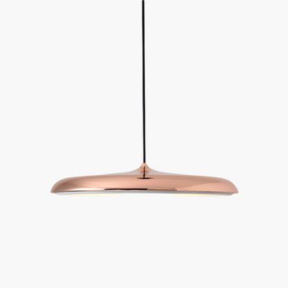 Scandinavian LED Pendant Light Modern Indoor Ceiling Hanging Fixture